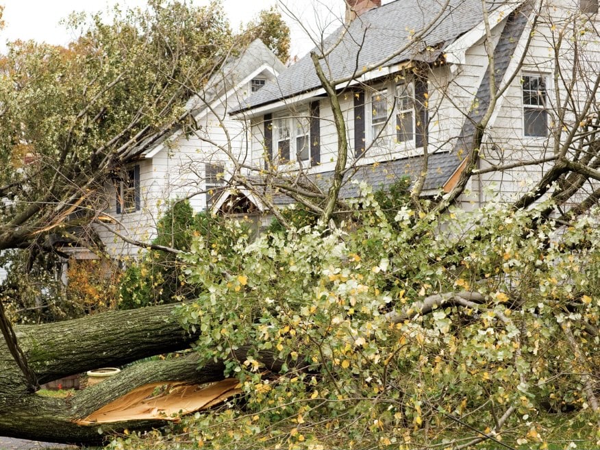 tropical storm and hurricane damage