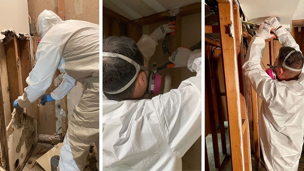 Technicians remediating mold instead of using bleach.