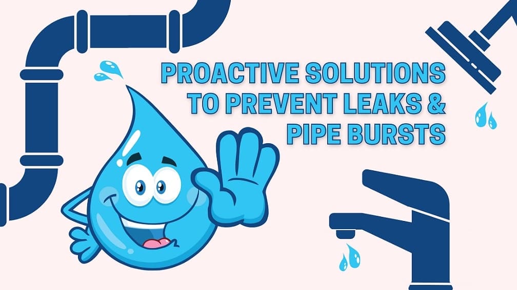 proactive solutions to prevent leaks and pipe bursts