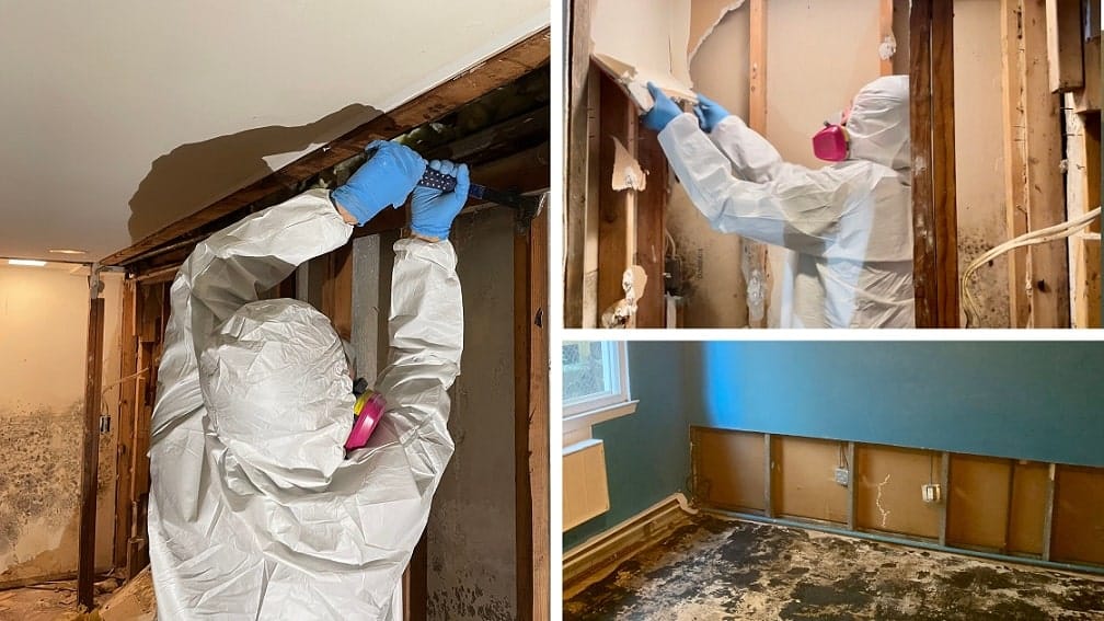ON licensed mold remediation technicians and remediated room